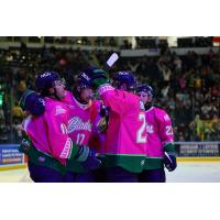 Florida Everblades celebrate a goal