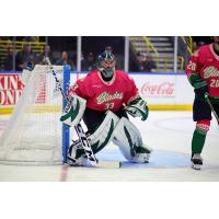 Florida Everblades goaltender Cam Johnson