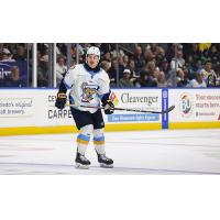Defenseman Nicklas Andrews with the Toledo Walleye