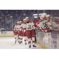 Grand Rapids Griffins exchange congratulations along the bench