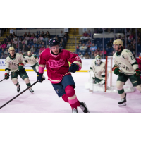 Springfield Thunderbirds forward Otto Stenberg vs. the Iowa Wild