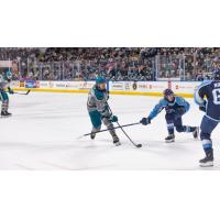 San Jose Barracuda forward Kasper Halttunen