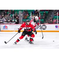Belleville Senators defenceman Jorian Donovan vs. the Utica Comets