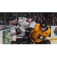 Adirondack Thunder defenseman Jacob Graves (left) vs. the Maine Mariners