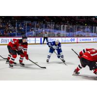 Syracuse Crunch left wing Jakob Pelletier vs. the Utica Comets