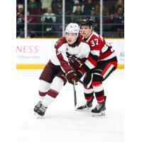 Peterborough Petes centre Adam Levac (left) vs. the Ottawa 67's