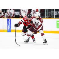 Peterborough Petes centre Aidan Young (right) vs. the Ottawa 67's