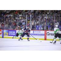 South Carolina Stingrays forward Josh Wilkins