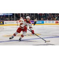 Grand Rapids Griffins left wing John Leonard