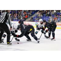 Kelowna Rockets battle the Vancouver Giants
