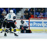 Kelowna Rockets goaltender Josh Banini makes a stop against the Vancouver Giants