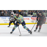 Toledo Walleye forward Sam Craggs