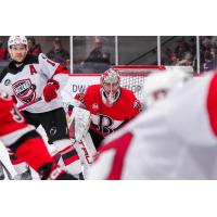 Belleville Senators goaltender Mads Søgaard vs. the Utica Comets
