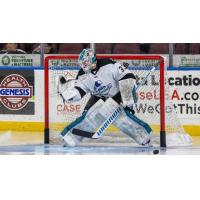 Wichita Thunder goaltender Matt Davis
