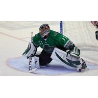 Florida Everblades goaltender Cam Johnson