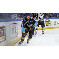 Defenseman Tanner Palocsik with the Toledo Walleye