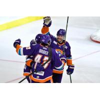 Orlando Solar Bears celebrate a goal