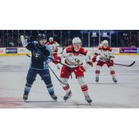 Grand Rapids Griffins battle the Milwaukee Admirals