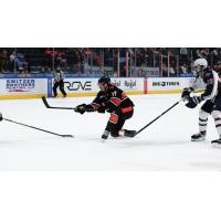 Jackson Berezowski of the Kansas City Mavericks