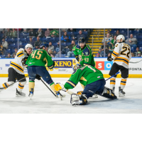 Springfield Thunderbirds goaltender Vadim Zherenko vs. the Providence Bruins