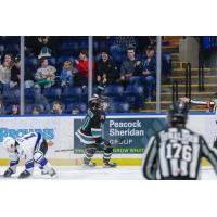 Kelowna Rockets left wing Tomas Poletin reacts after his goal