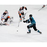 San Jose Barracuda forward Anthony Vincent shoots vs. the San Diego Gulls