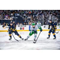 Florida Everblades forward Tarun Fizer vs. the Atlanta Gladiators
