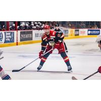 Grand Rapids Griffins forward Austin Watson