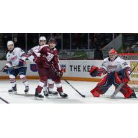 Peterborough Petes defenceman James Petrovski vs. the Oshawa Generals