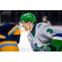 Florida Everblades forward Sam Stange