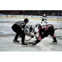 Rapid City Rush face off with the Wichita Thunder