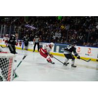Allen Americans center Michael Gildon vs. the Idaho Steelheads