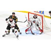 Adirondack Thunder's Ryan Wheeler and Tyler Brennan and Wheeling Nailer's Jack Works on game night