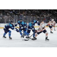 Greenville Swamp Rabbits Battle the Jacksonville Icemen