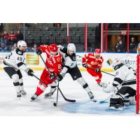 Rapid City Rush's Cameron Buhl battles Wichita Thunder's Tanner Palocsik, Tyler Jette, and Roddy Ross in action