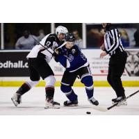 Vancouver Giants' Brett Olson battles Victoria Royals' Miles Cooper