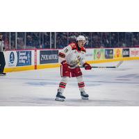Grand Rapids Griffins forward John Leonard