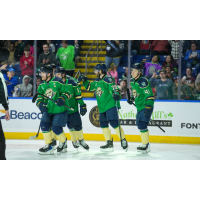 Springfield Thunderbirds exchange congratulations following a goal