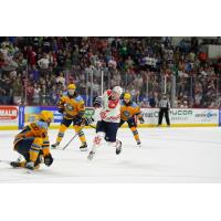 South Carolina Stingrays unleash a shot vs. the Toledo Walleye