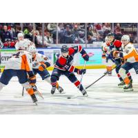 Saginaw Spirit left wing Dimian Zhilkin vs. the Flint Firebirds