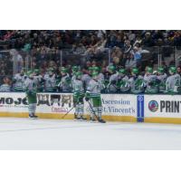 Florida Everblades exchange congratulations along the bench