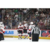 Belleville Senators gather vs. the Hershey Bears