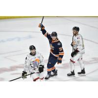 Greenville Swamp Rabbits forward Ryan O'Hara