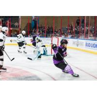 Rapid City Rush battle the Wichita Thunder