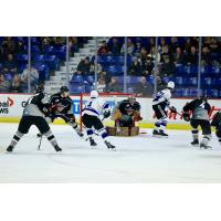 Vancouver Giants battle the Victoria Royals