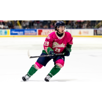 Forward Anthony Romano with the Florida Everblades