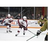 Peterborough Petes defenceman James Petrovski vs. the North Bay Battalion