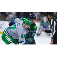 Florida Everblades forward Reid Duke vs. the Jacksonville Icemen