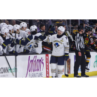 Springfield Thunderbirds center Chris Wagner