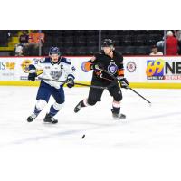 Worcester Railers forward Anthony Repaci (left) vs. the Reading Royals